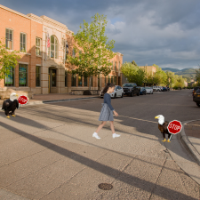 Eagle Crossing Guard (225 x 225 px)