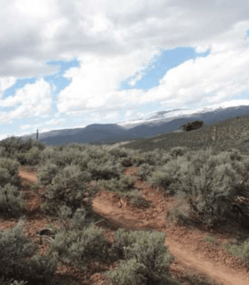New Trails (2)