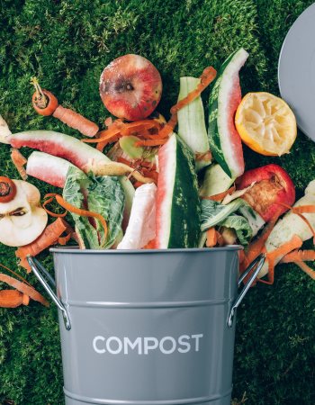 composting newsflash