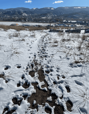 Respect Trails