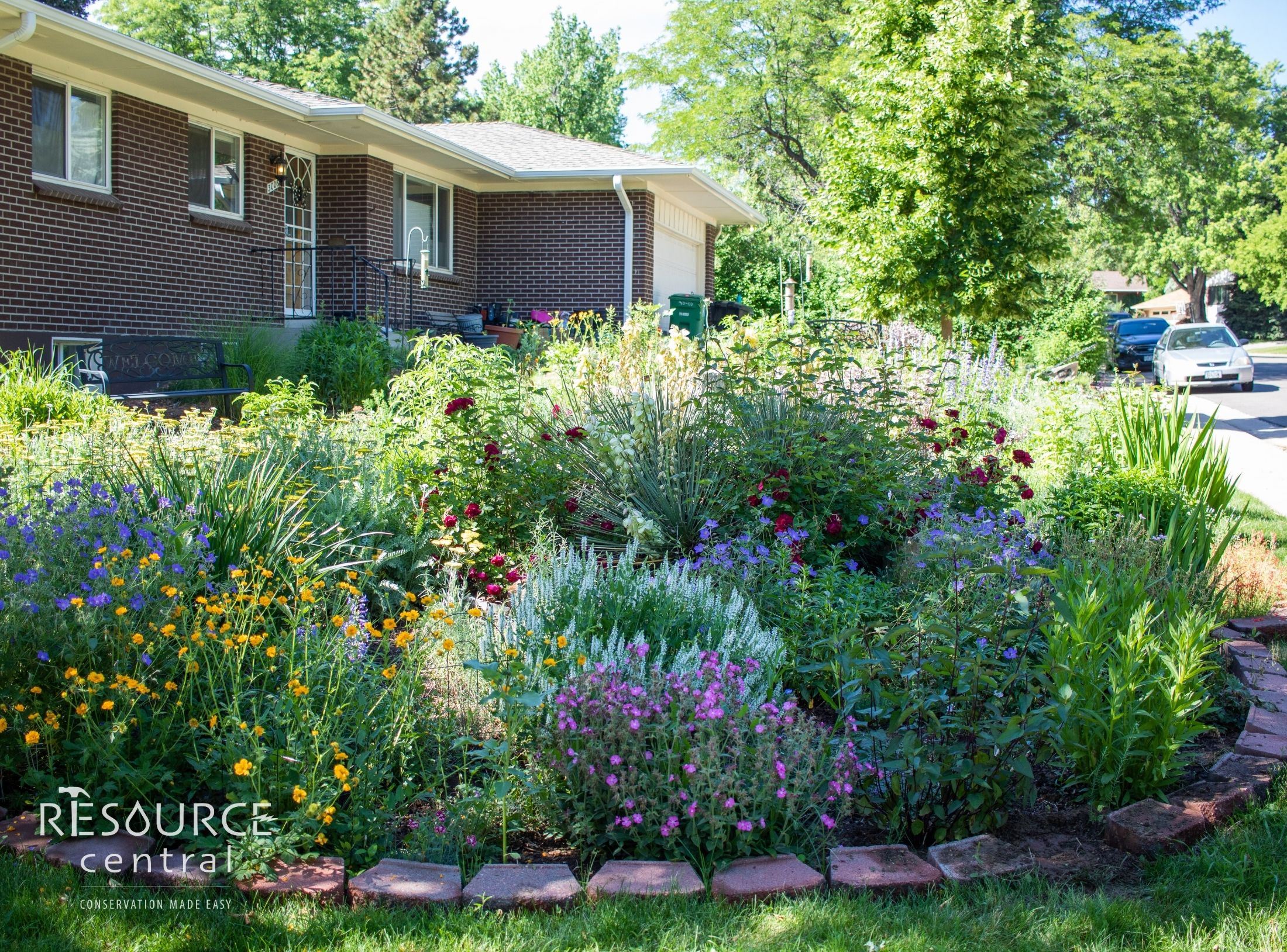 Image of a flourishing, low-water garden furnished by Resource Central's Garden-In-A-Box program.